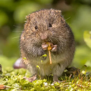 Meet your Posher, Qtmmm